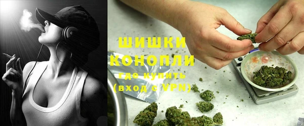Альфа ПВП Богородск