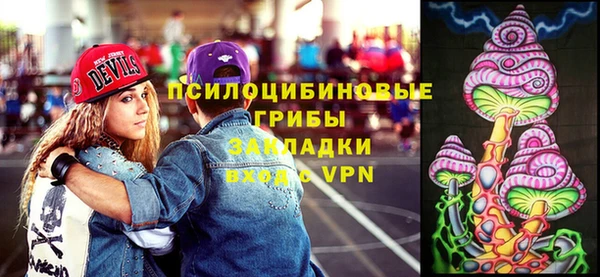 ешки Богородицк