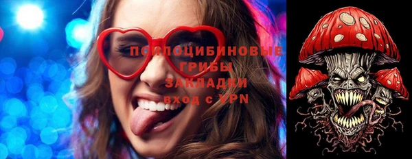 Альфа ПВП Богородск