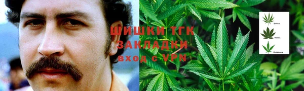ешки Богородицк