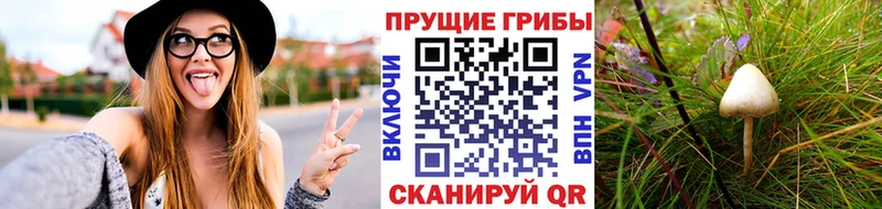Купить где  Коммунар  Псилоцибиновые грибы ЛСД 