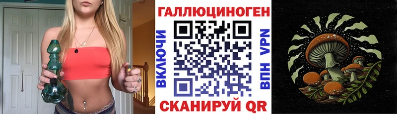 Псилоцибиновые грибы Cubensis Коммунар